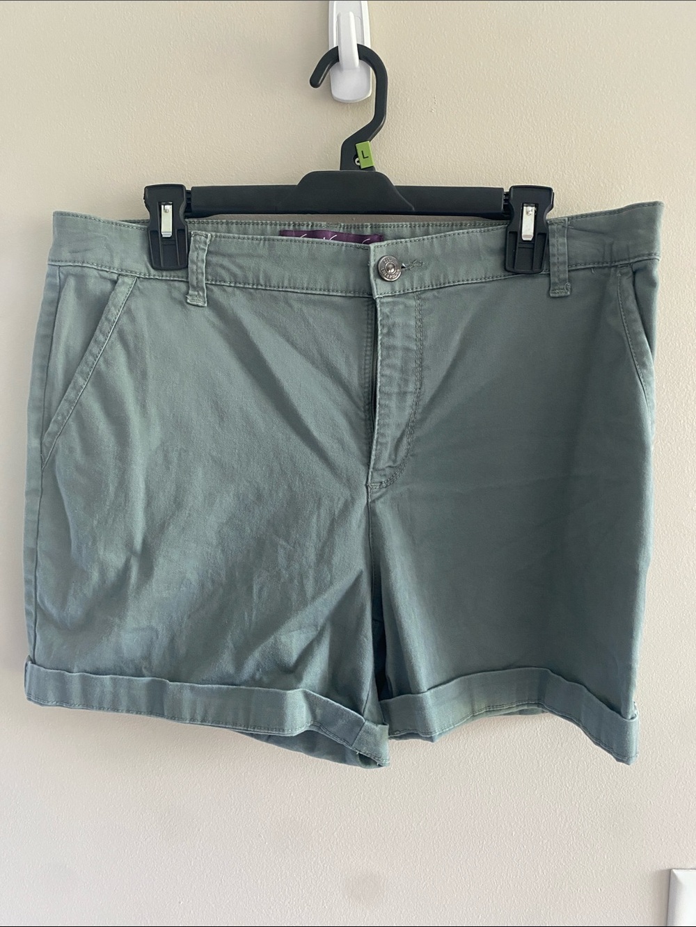Gloria Vanderbilt Women's Flat Front Shorts - Sage Green